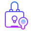 icons8-lock-64